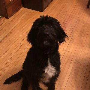 Meet your Posher, Mark